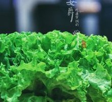Lettuce Wraps with Minced Meat