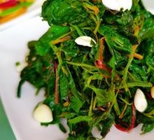 Mixed Wild Greens Salad