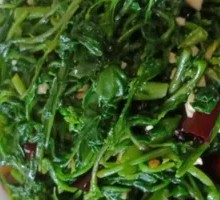 Cold-Pressed Wild Greens Salad