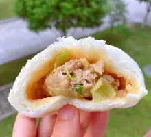 Pork and Scallion Dumplings