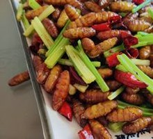 Stir-fried Silkworm Pupae