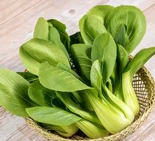 Chinese cabbage