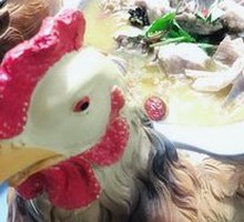 Braised Wild Chicken Soup