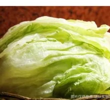 Romaine Lettuce