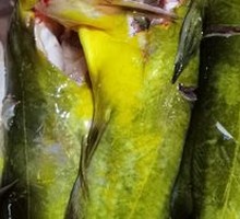 Gaya Fish