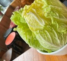 Napa cabbage