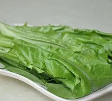 Oilseed lettuce
