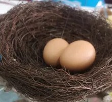 Egg