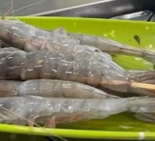 Large Shrimp