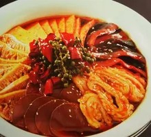 Premium Maoxuewang