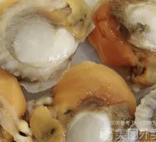 Scallop Meat