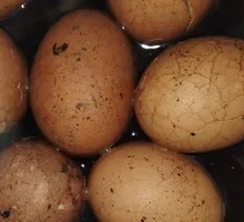 Tea-Infused Eggs