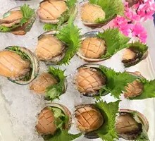 Eight-Head Abalone