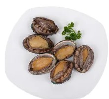 Fresh Abalone