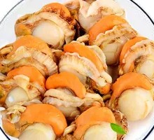 Scallop Meat