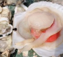 Large Scallop