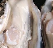 Rushan Large Oyster