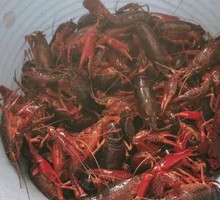 Live Crawfish Whole