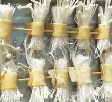 Enoki Mushroom