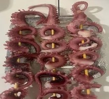 Octopus Tentacles