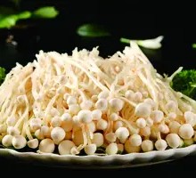 Enoki Mushroom