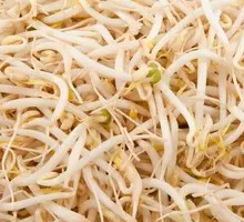 Bean sprouts