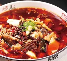 Premium Maoxuewang