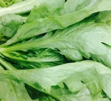 Chinese chrysanthemum greens