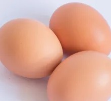 Egg