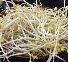 Mung Bean Sprouts