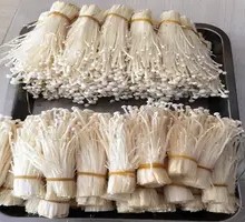Enoki Mushroom