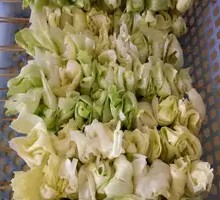 Romaine lettuce