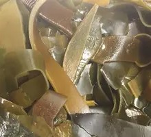 Kelp