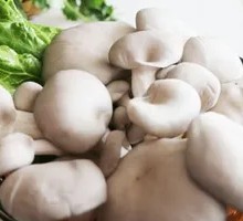 Enoki Mushroom