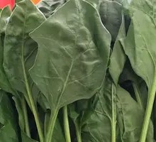 Spinach