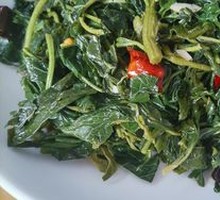 Mixed Wild Greens Salad