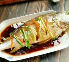 Yellow croaker
