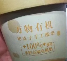 Creamy Milk Yogurt
