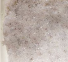 Shrimp paste