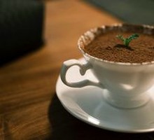 Traditional Tiramisu