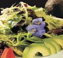 Avocado Vegetable Salad