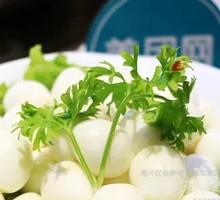 Quail Egg