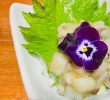 Mustard Octopus