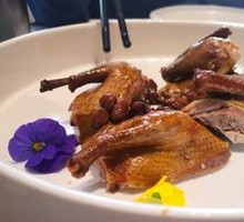Suckable Pigeon