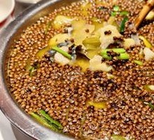 Thunderous Big Catfish