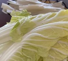 Chinese cabbage