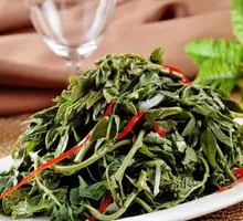 Delicious Mulberry Shoots