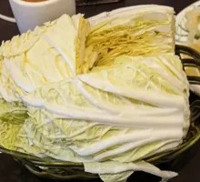 Napa cabbage
