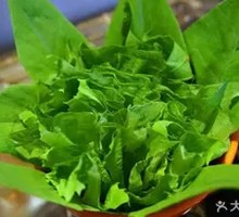 Oilseed lettuce