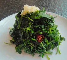 Wild Mountain Vegetables